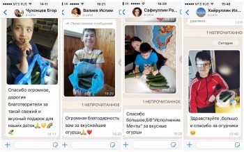Свежие огурцы от тепличного комбината «Майский»