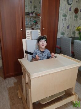 поляков шафикова